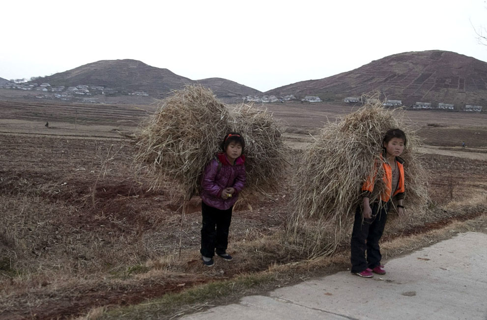 north-korean-farm-laborers